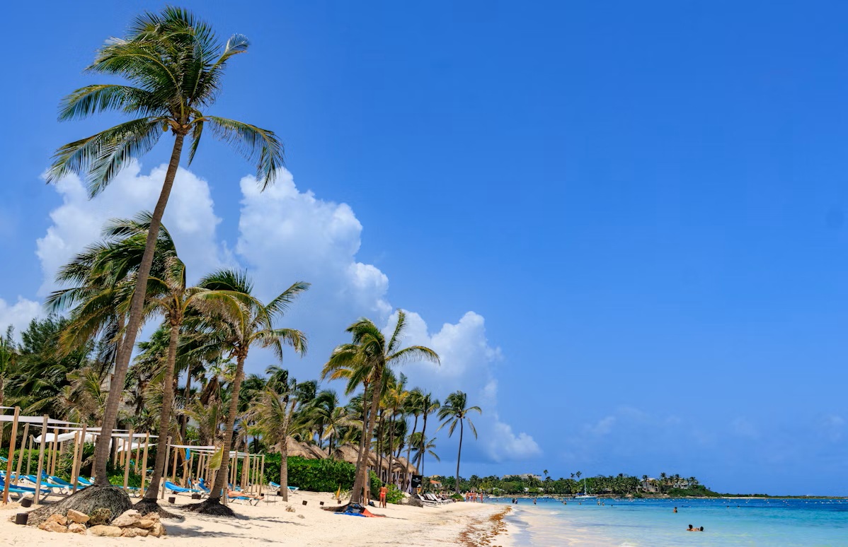 Snorkeling with green sea turtles in Akumal Bay, Quintana Roo, Mexico