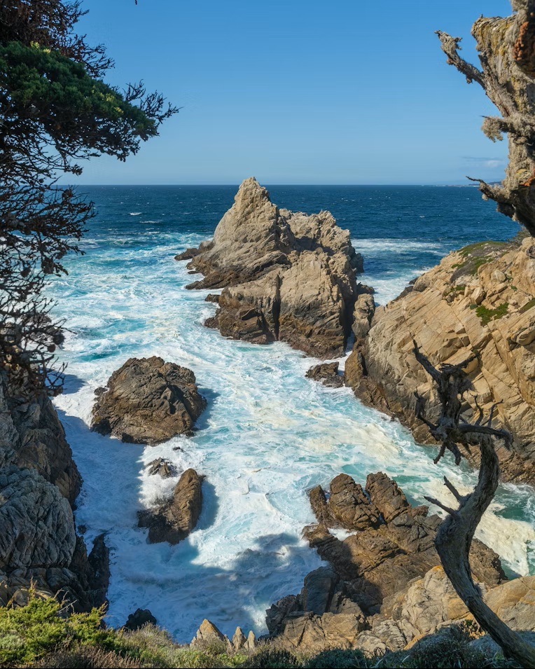 Rare Monterey Cypress trees overlooking the turquoise waters of Whalers Cove at Point Lobos