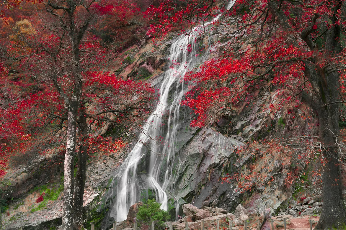 The 121-meter Powerscourt Waterfall cascading down a rocky cliff face in County Wicklow