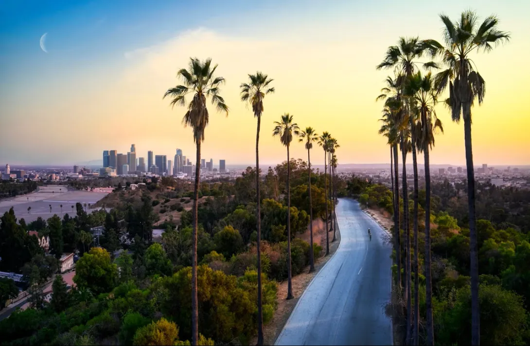 Los Angeles skyline at sunset with palm trees, gateway to the ultimate Pacific Coast Highway road trip to San Francisco
